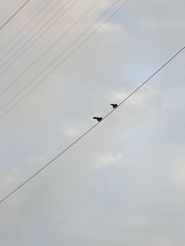 Photograph by Наталья Ермилова