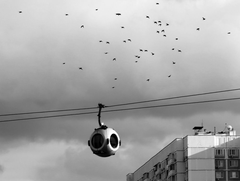 Photo #13711334