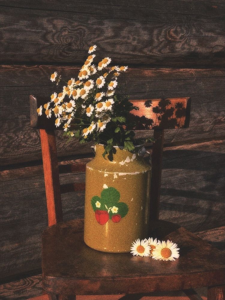 Photograph by Yulia Kotova