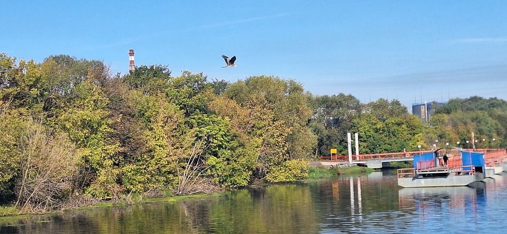 Photograph by Лилия Рыжанкова