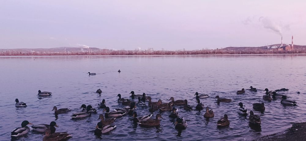 Photo #13711512