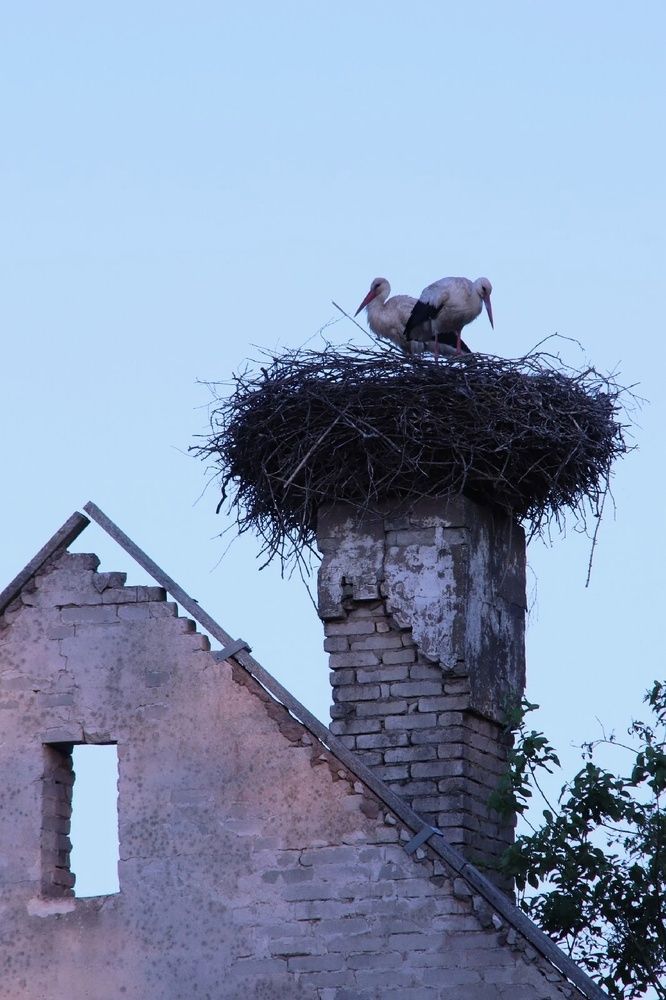 Photograph by Olga Asson