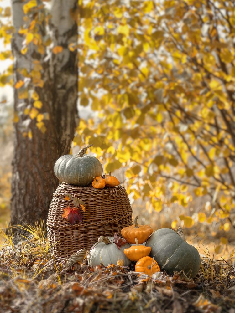 Photograph by Ольга Яр