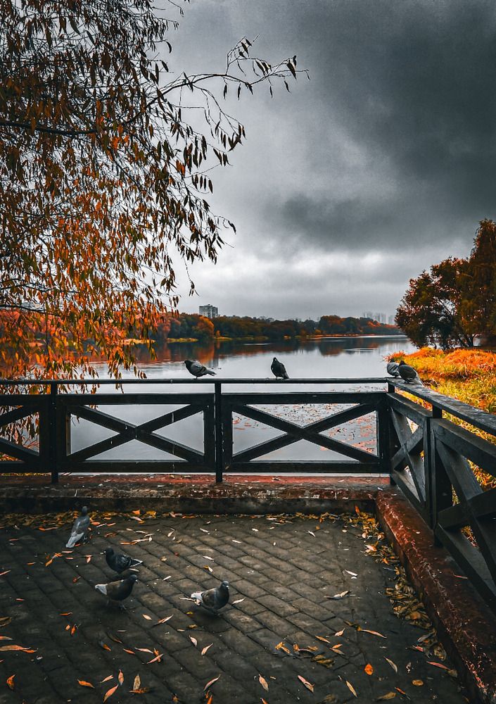 Фотография автора Светлана Володинская