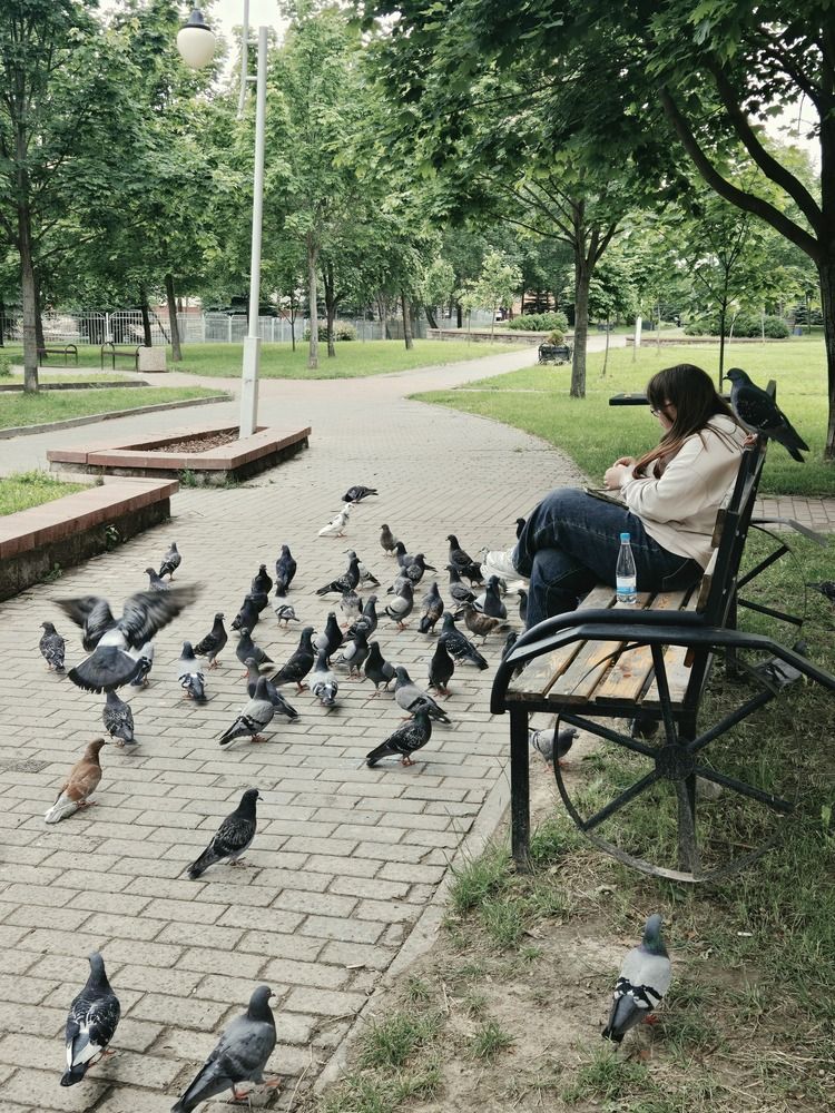 Photograph by Ирина Шауро