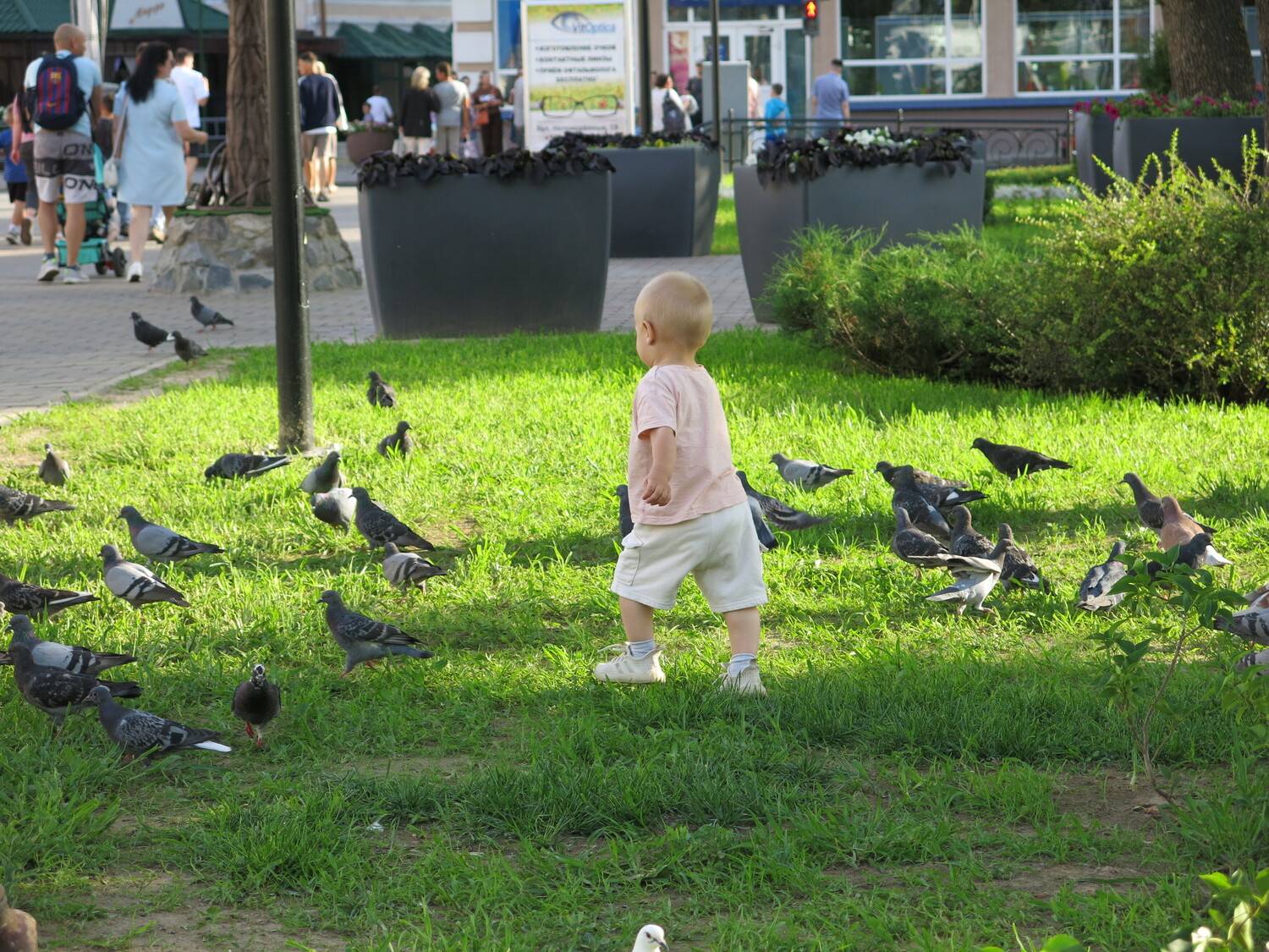 Photo #13711691
