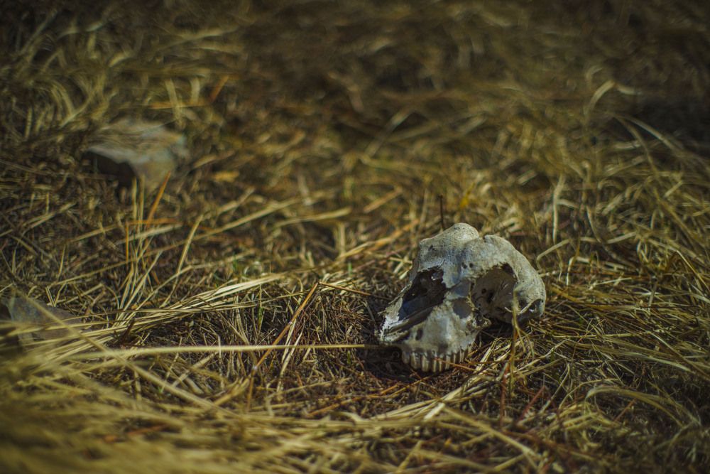 Photograph by Роман Крупченко