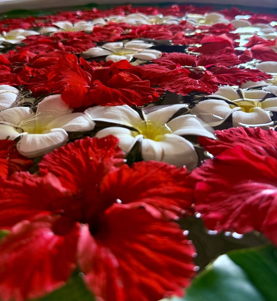 Flower Pond