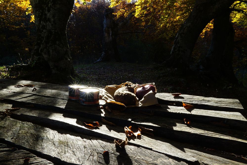 Photograph by света хлевненко