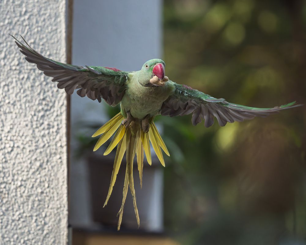 Photograph by Sandeep Shroff