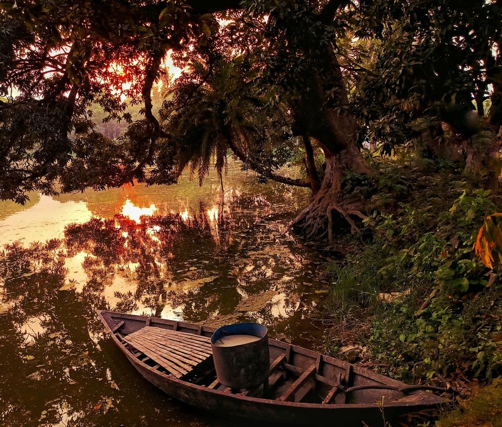 The Golden Solitude