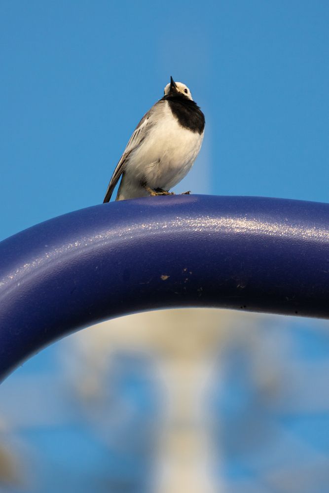 Photograph by Кемеров Игорь