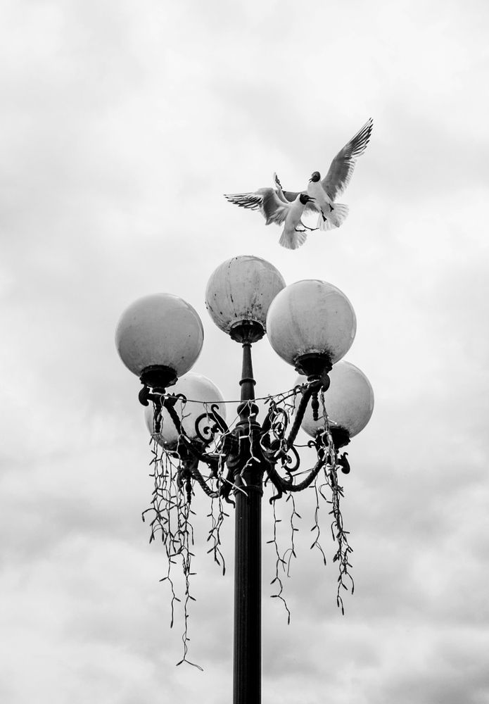 Photograph by Виктория Трущенко