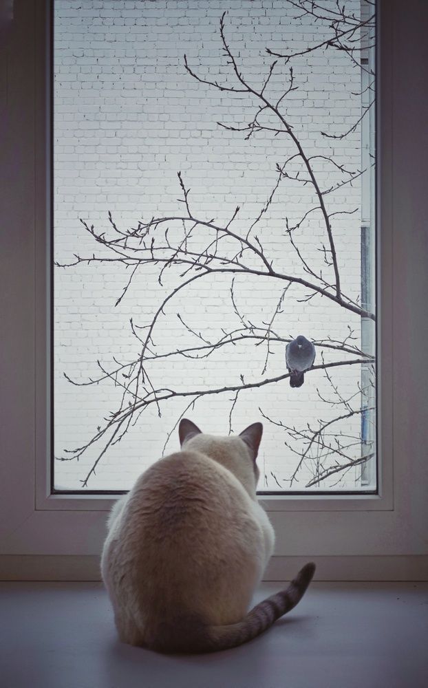 Photograph by Олеся Зеленщикова