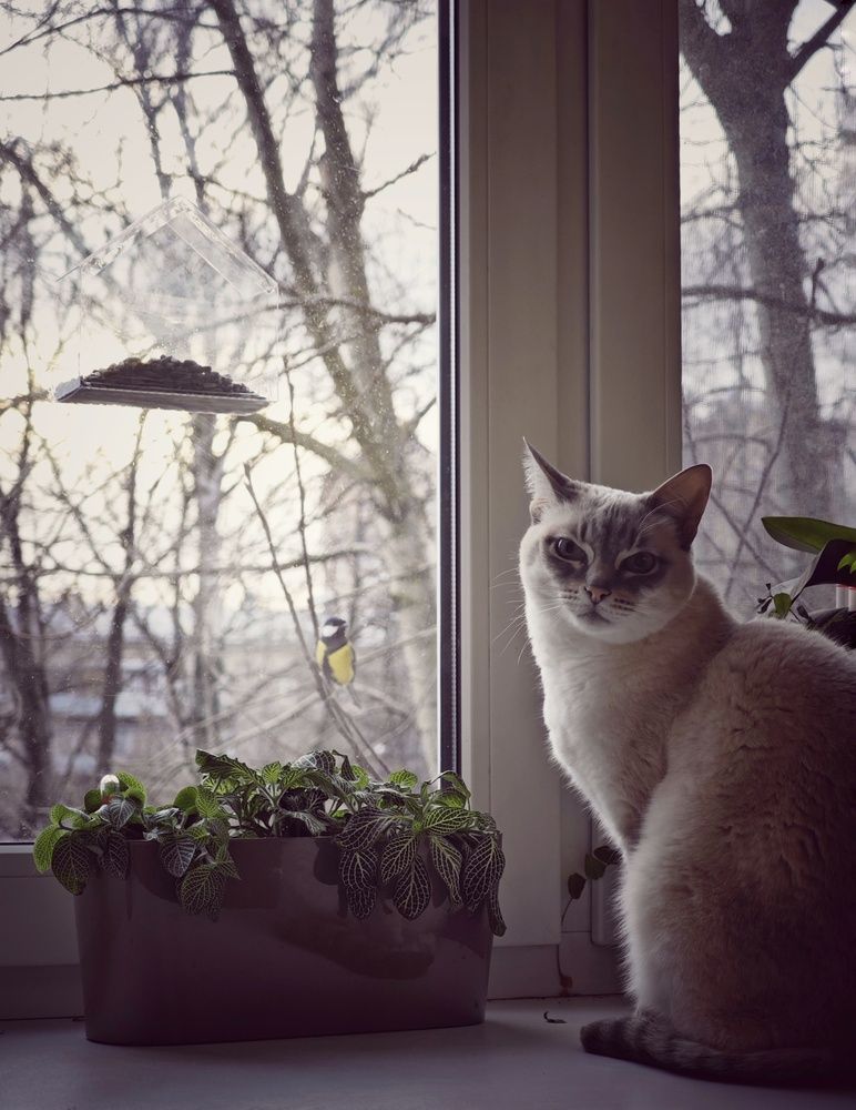 Photograph by Олеся Зеленщикова