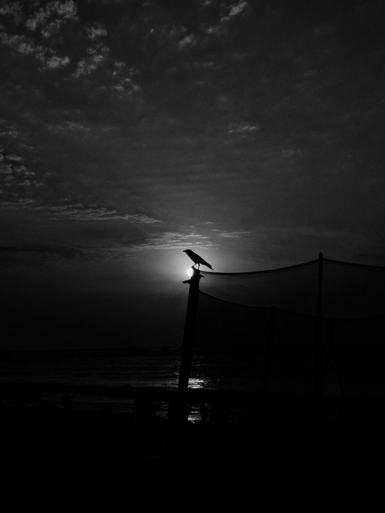 Photograph by Sadiq Seyed