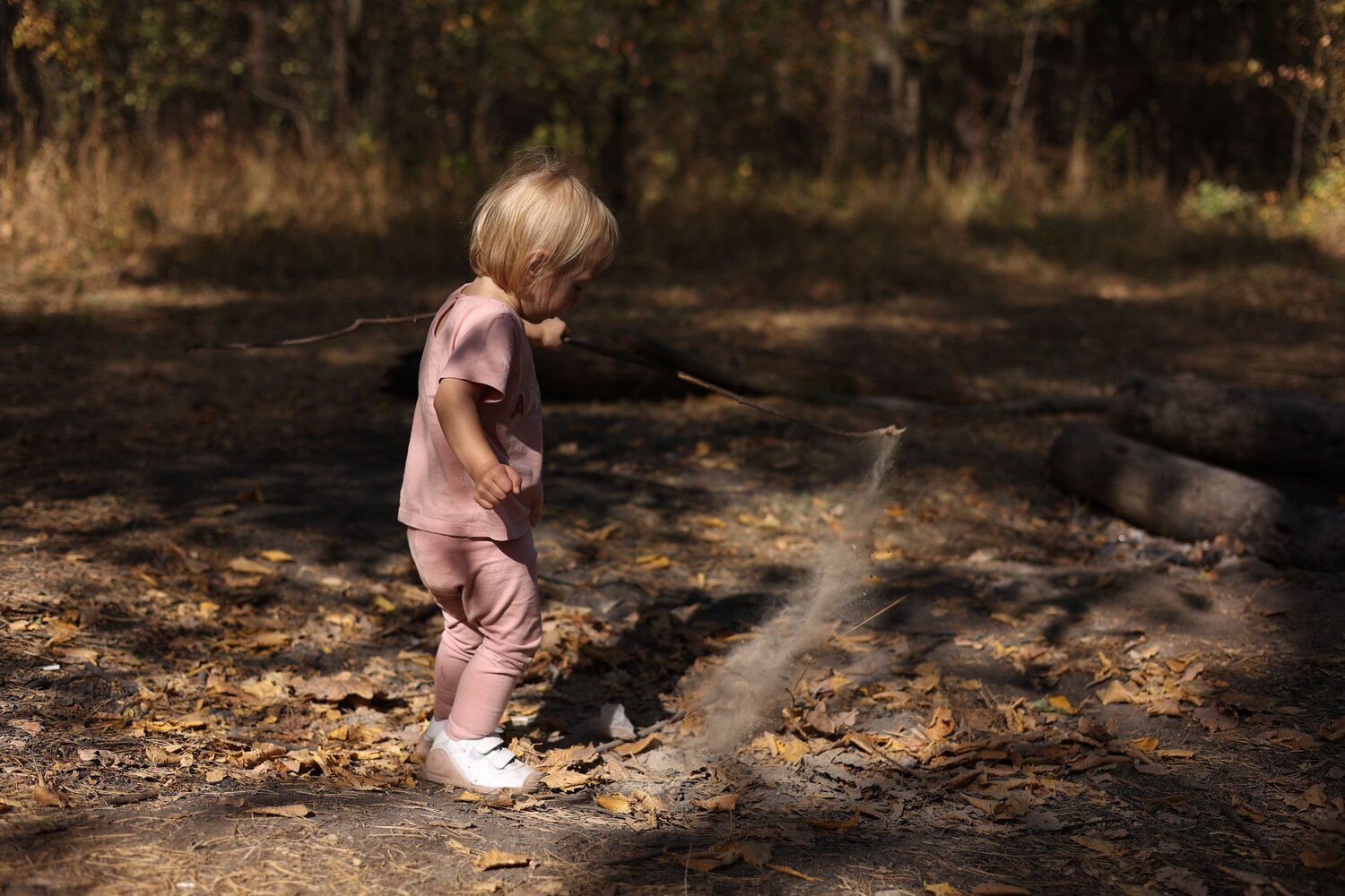 Photo #13712384
