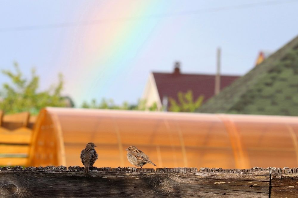 Photograph by Владимир Перминов