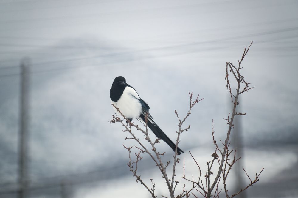 Photograph by Aleksey Maevskiy