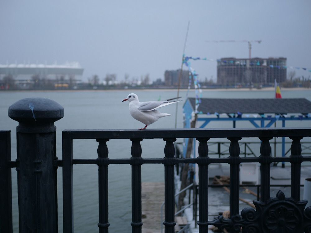 Photograph by Майя Стащенко