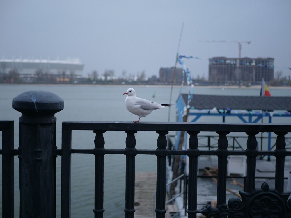 Photograph by Майя Стащенко
