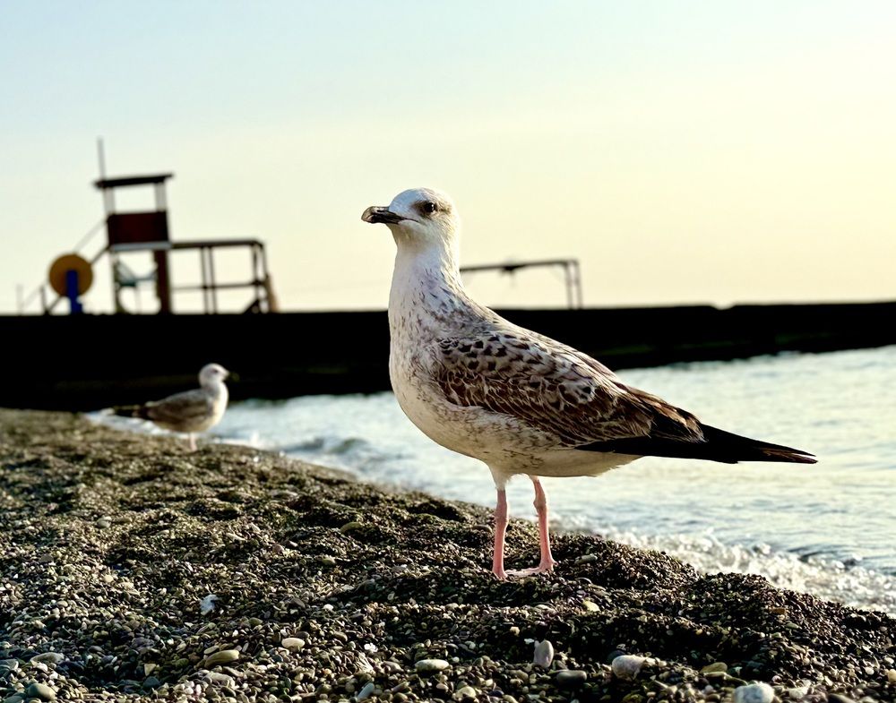 Photograph by Роман Демин