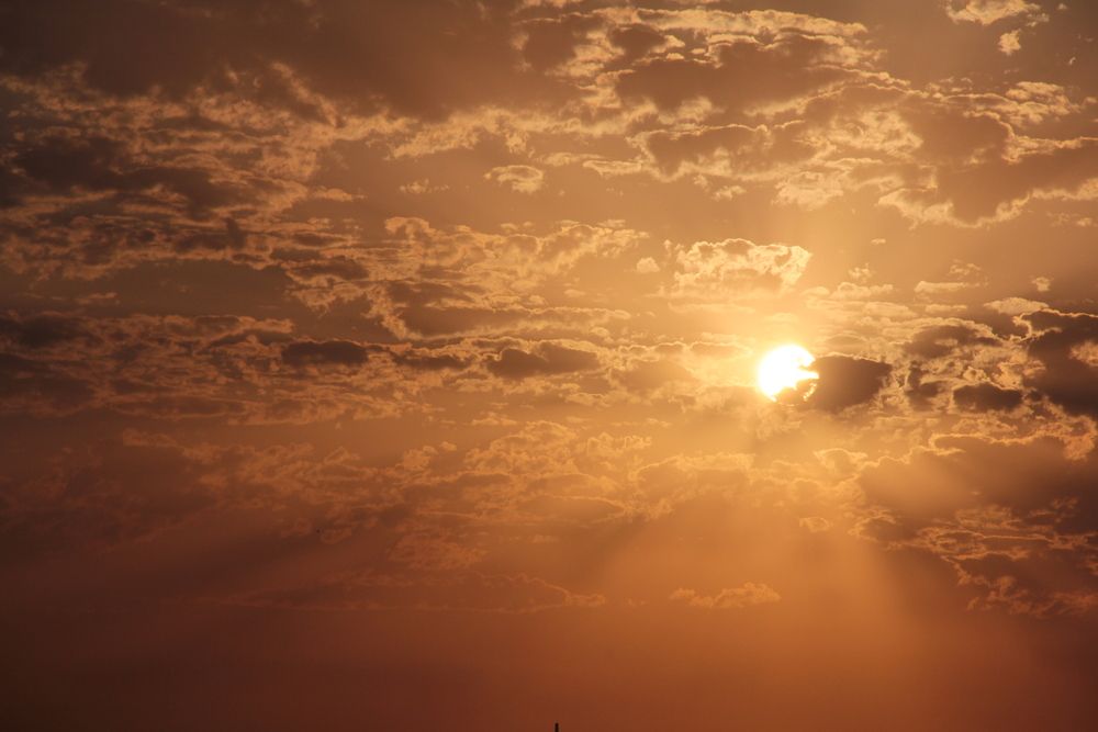 Golden Silence