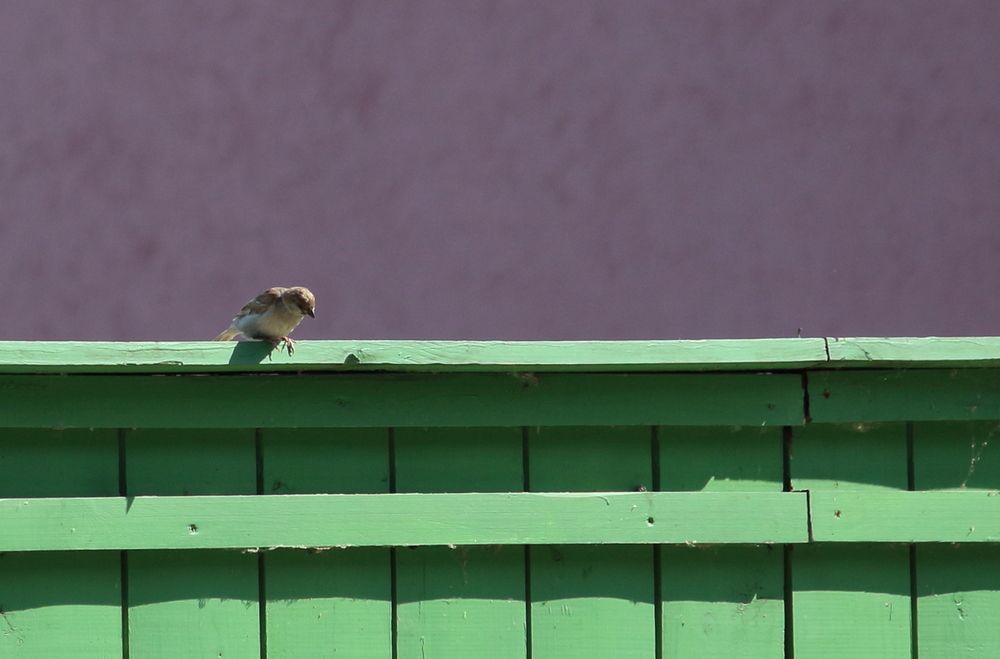 Photograph by Оксана Малахова