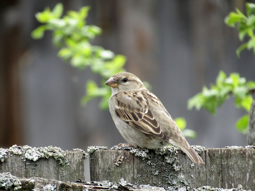 Photo #13712569