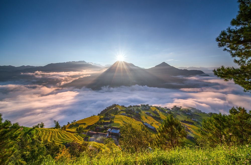 Photograph by Dao Hoang