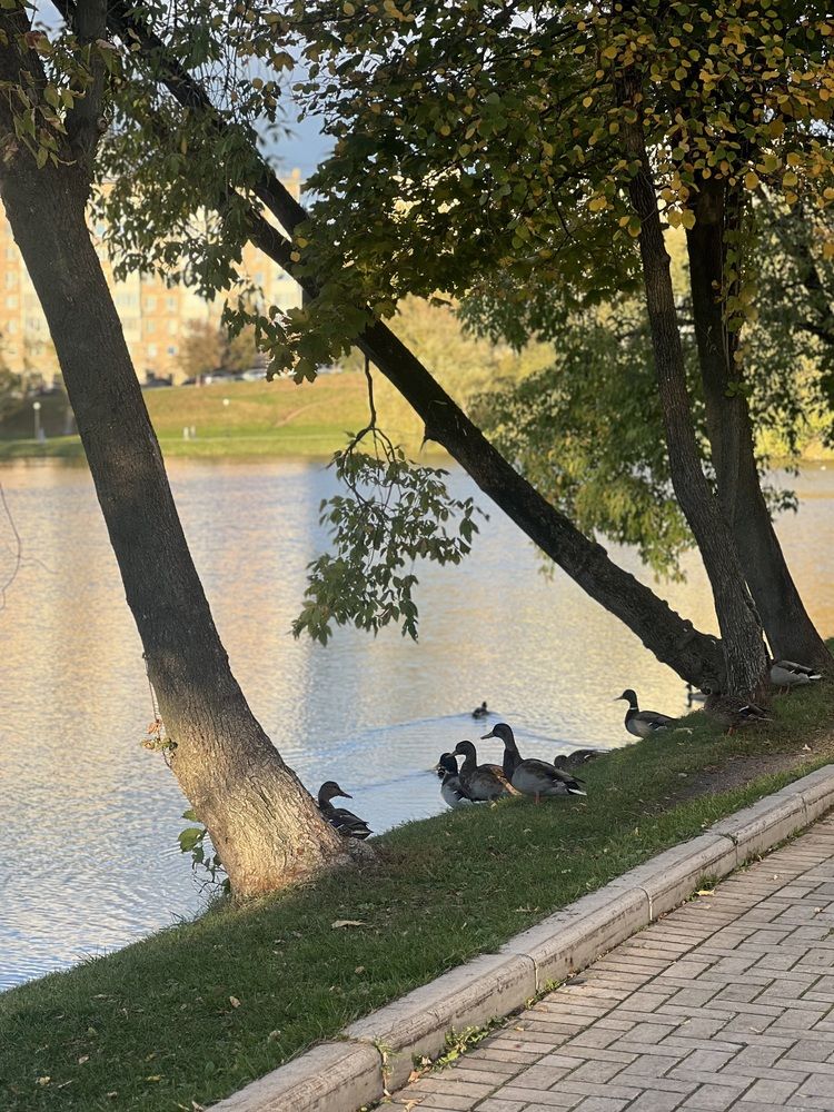 Photograph by Оксана