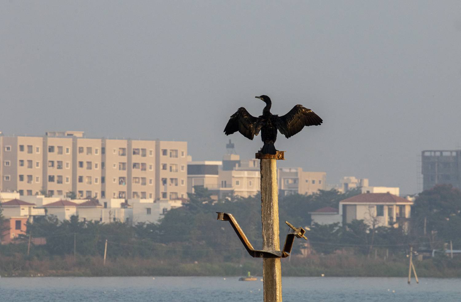 Photo #13712783