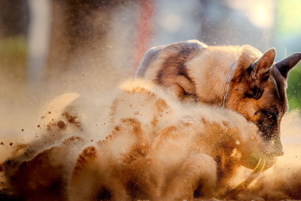 Photograph by Сергей Жиркевич