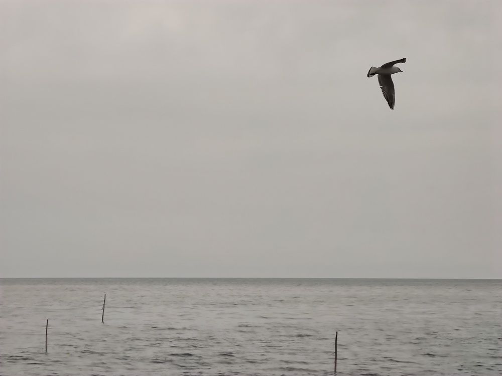 A sea