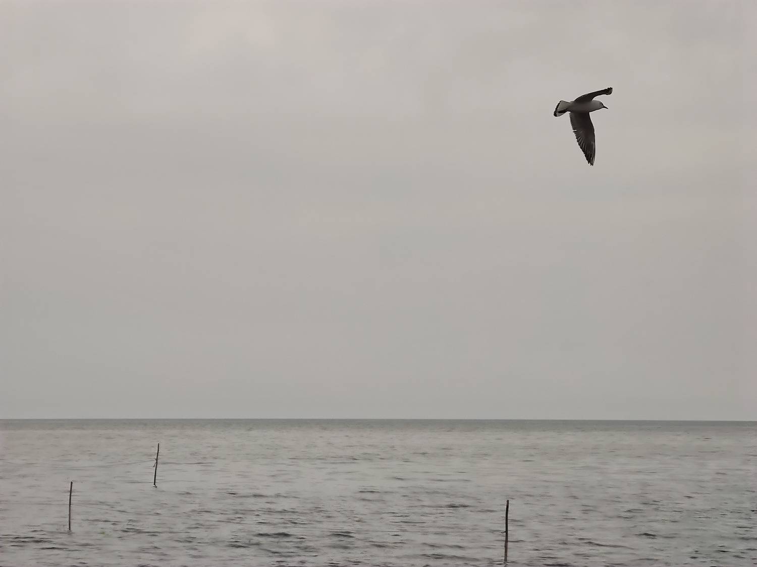 A sea