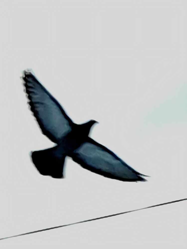 Photograph by Юлия Завгородняя