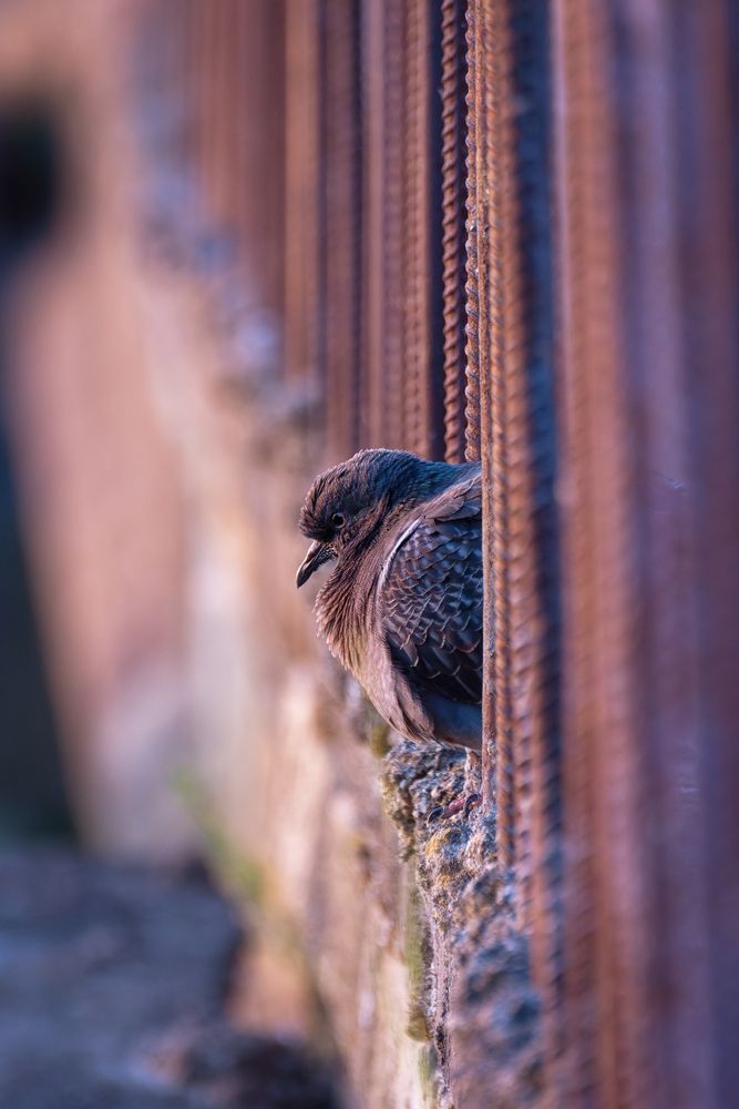 Photograph by Юрий Мыслицкий