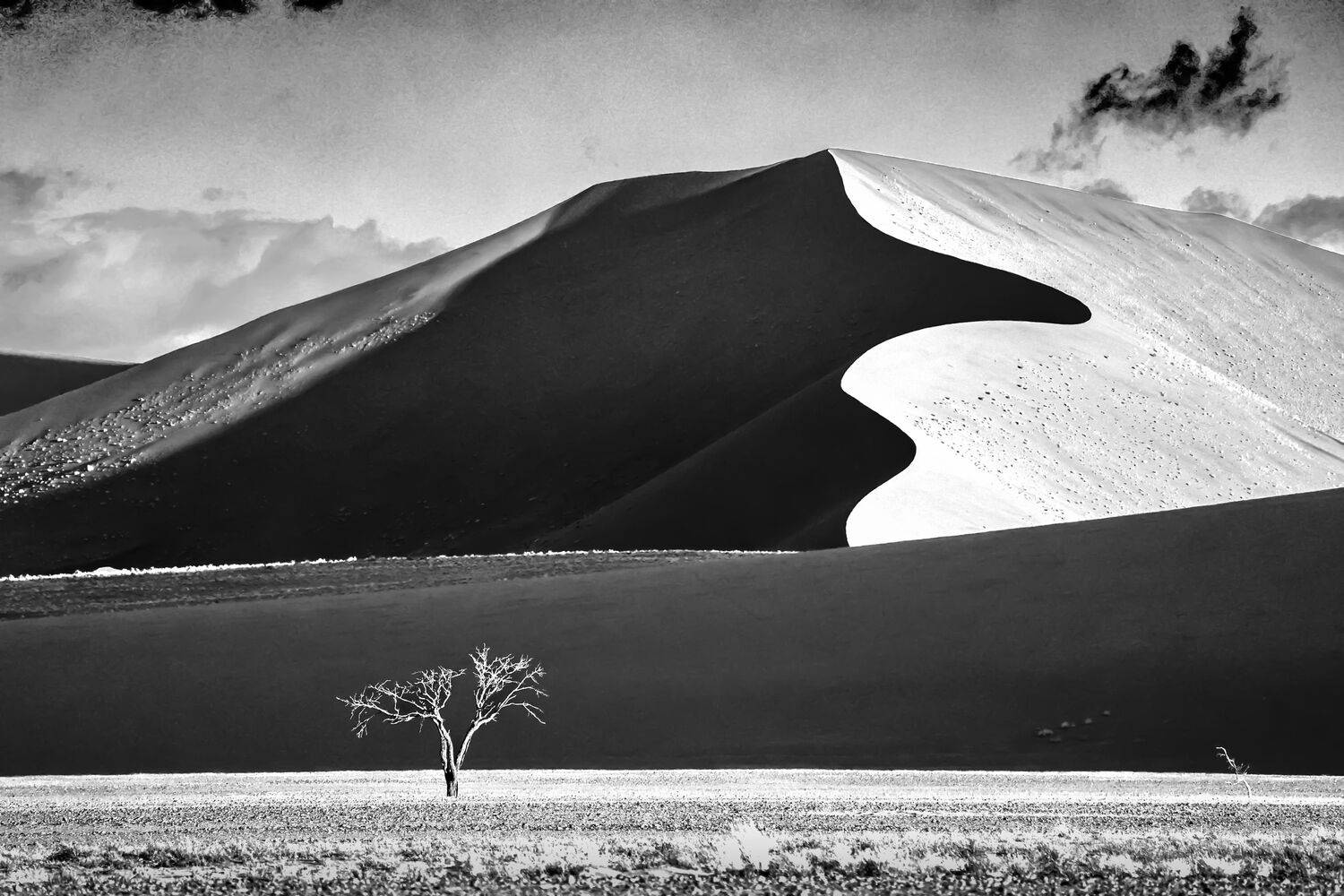 The Edge