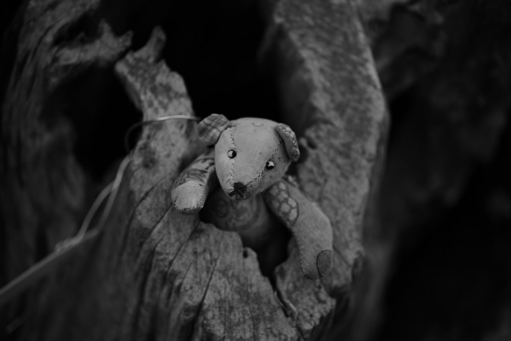 Left Behind