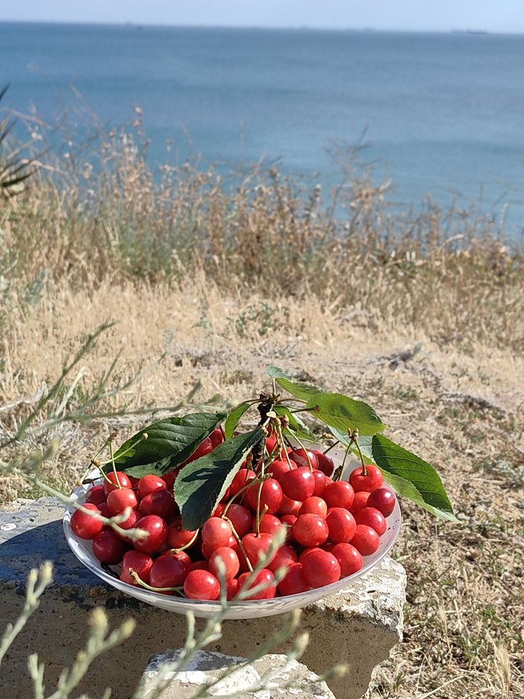 Фотография автора Анастасия Кременчугская