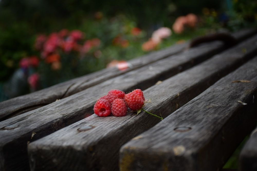 Photograph by Наталия Самкина