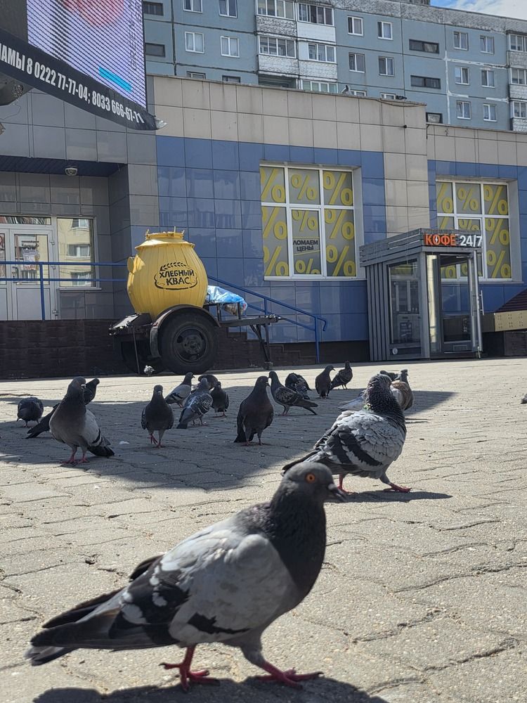 Photograph by Анна Хмелькова