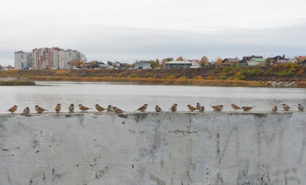 Photograph by Татьяна Иваненкова