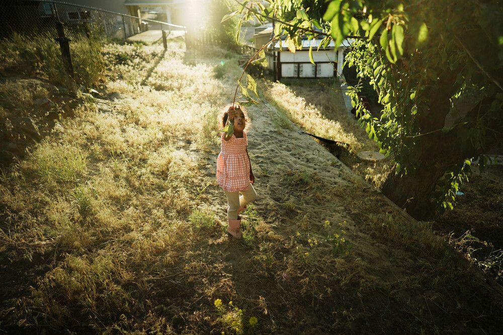 Picking Golden Hour!