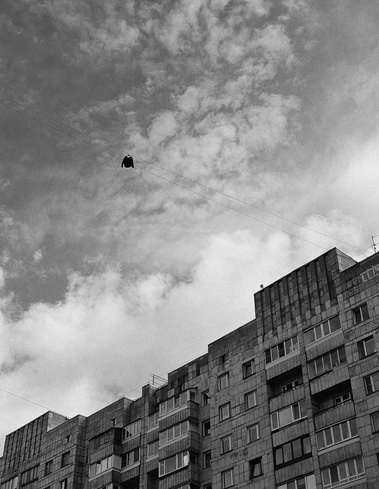 Fugitive