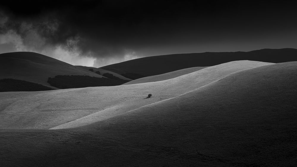 Photograph by Luca Menotti