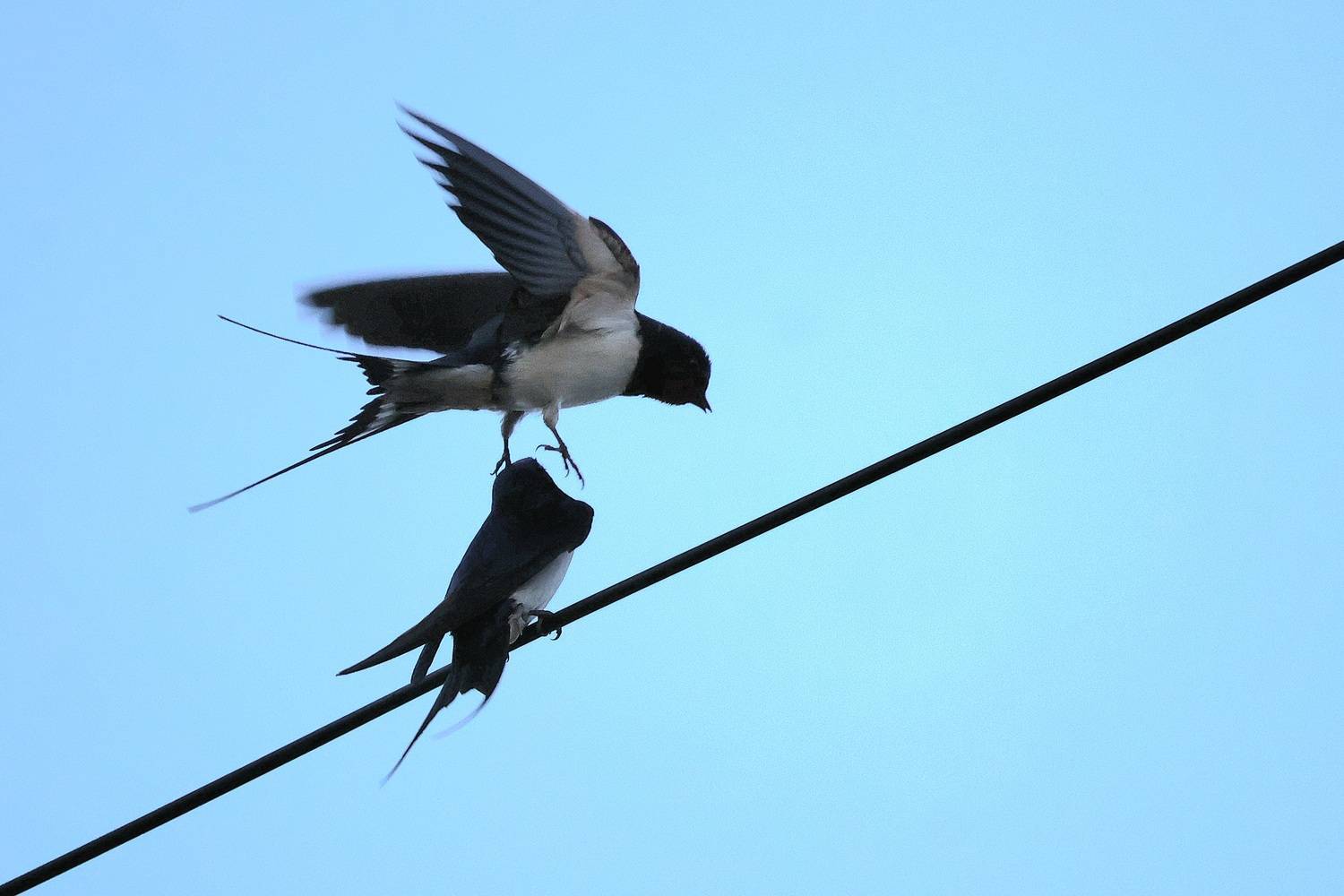 Photo #13713404