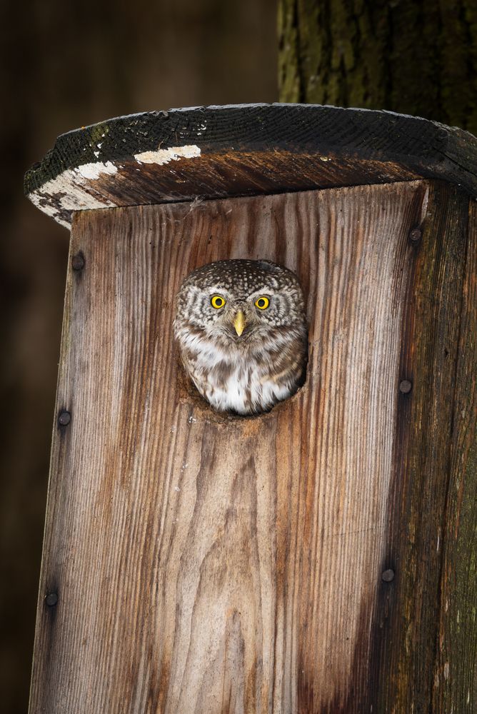 Photograph by Вера Машина