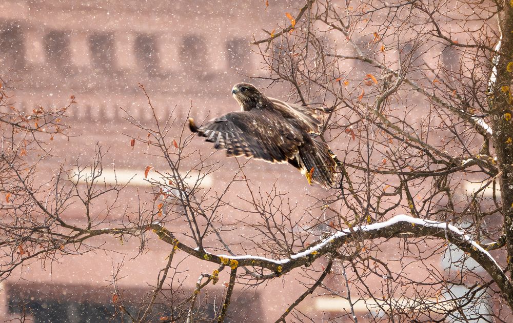 Photograph by Вера Машина