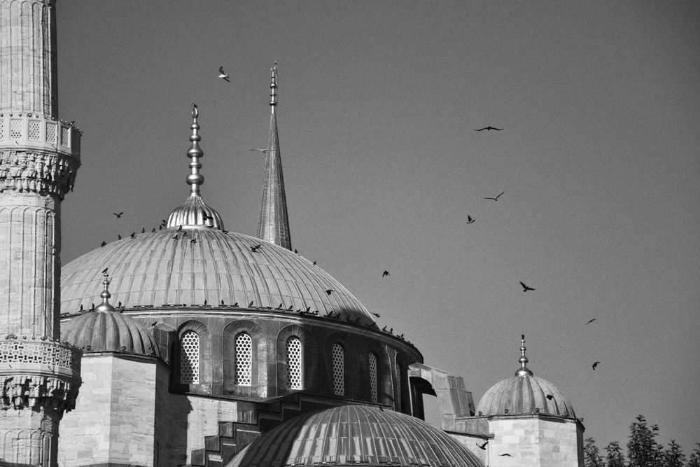 Photograph by Никита Невзоров